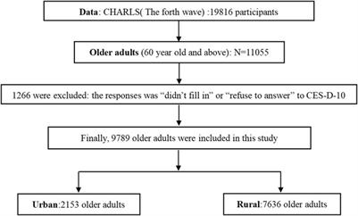 Association Between Multiple Chronic Conditions and Depressive Symptoms Among Older Adults in China: Evidence From the China Health and Retirement Longitudinal Study (CHARLS)